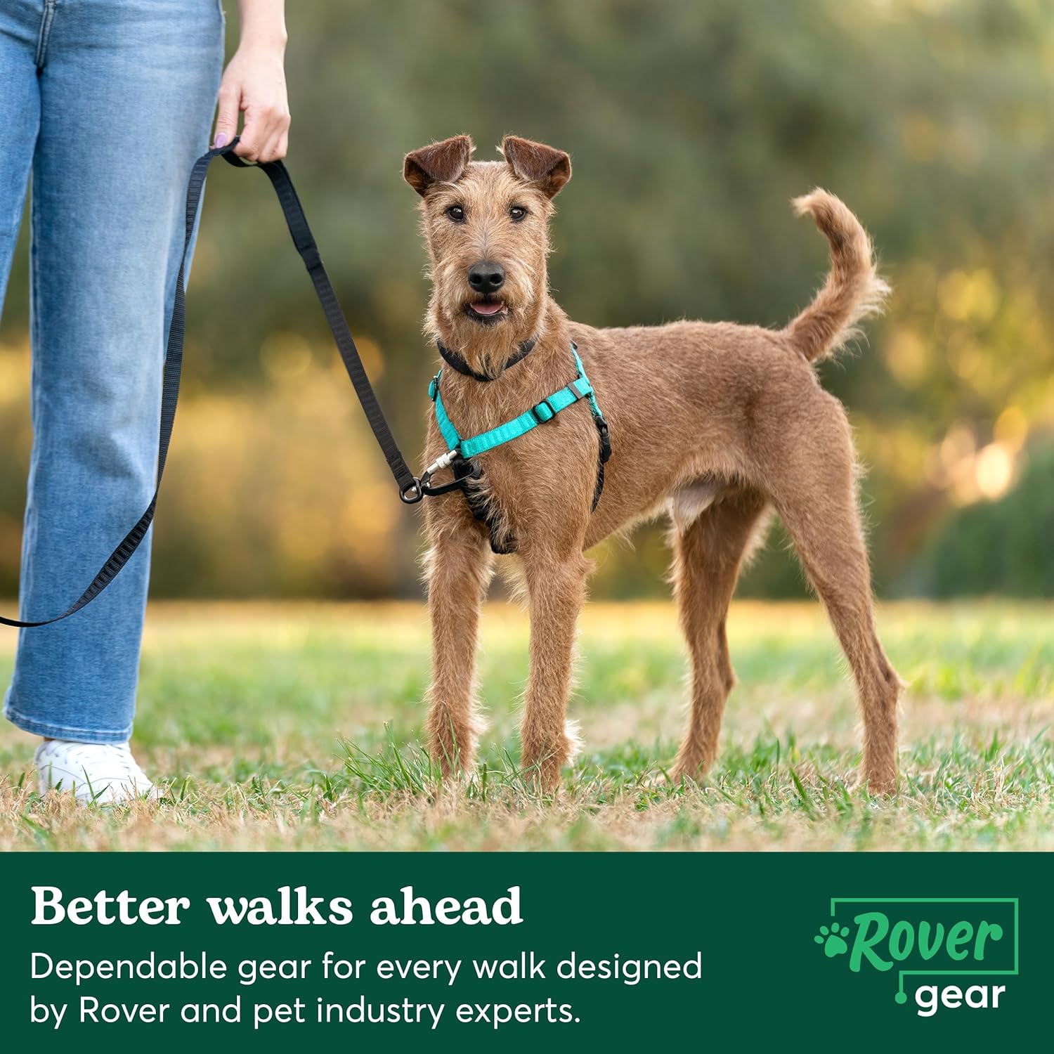 Essential Dog Walking Leash, Teal, 6ft – Stay in Control with Durable Long Dog Leash – Features Cushioned Handles, Traffic Handle for Added Control,  Built-in Tidy Tag Poop Bag Holder
