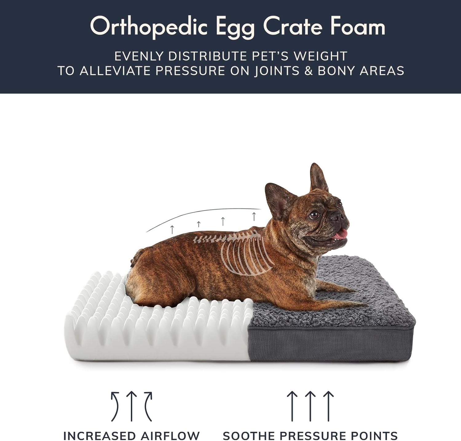 OhGeni Orthopedic Dog Beds for Large Dogs,Dog Bed with Plush Egg Foam Support and Non-Slip Bottom, Waterproof and Machine Washable Removable Pet Bed Cover