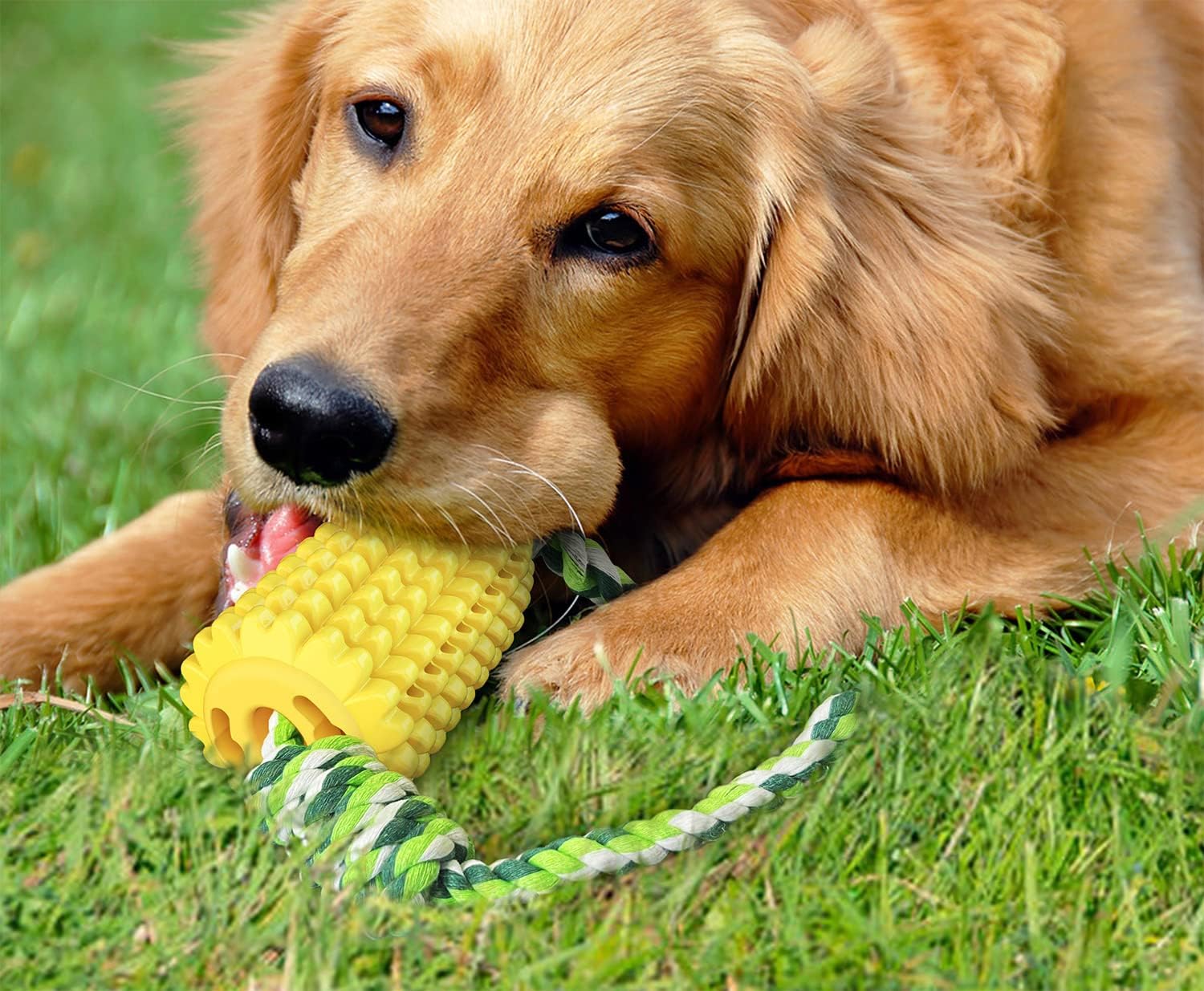 Carllg Dog Chew Toys for Aggressive Chewers, Indestructible Tough Durable Squeaky Interactive Dog Toys, Puppy Teeth Chew Corn Stick Toy for Small Meduium Large Breed