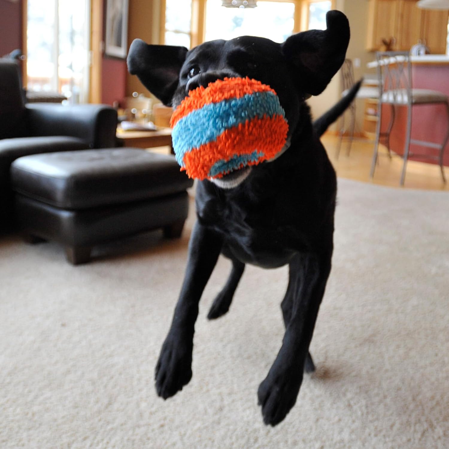 Chuckit! Indoor Fetch Ball Dog Toy (4.75 Inch), Orange and Blue