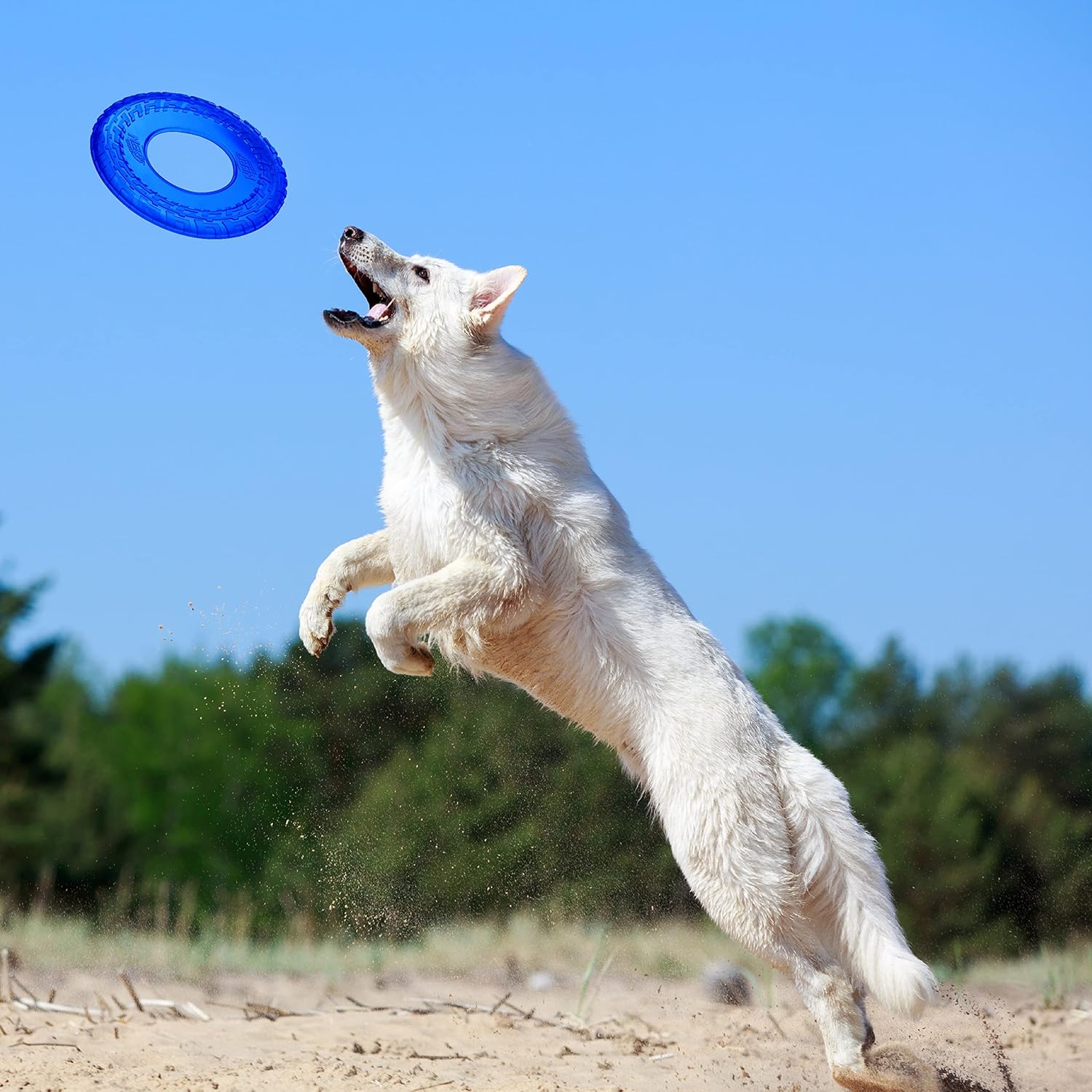 Nerf Dog Rubber Tire Flyer Dog Toy, Flying Disc, Lightweight, Durable, Floats in Water, Great for Beach and Pool, 10 Inch Diameter, for Medium/Large Breeds, Single Unit, Blue, Original