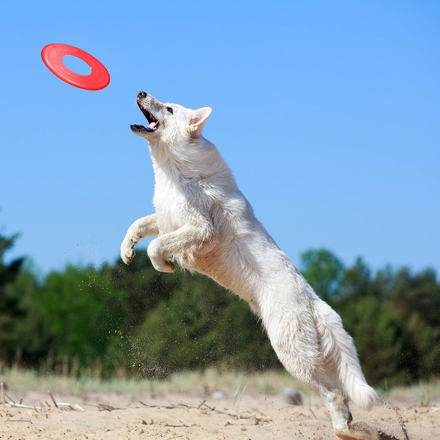 Nerf Dog Rubber Tire Flyer Dog Toy, Flying Disc, Lightweight, Durable, Floats in Water, Great for Beach and Pool, 10 Inch Diameter, for Medium/Large Breeds, Single Unit, Blue, Original