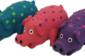 2 Pack Latex Pig Dog Toys Review