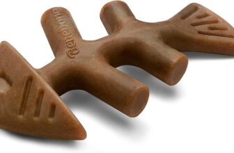 Benebone Fishbone Chew Toy Review
