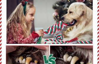 UPSKY Dog Rope Toys Dog Grinding Teeth 2 Nearly Indestructible Dog Toys Review