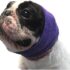 Pogi’s Dog Grooming Wipes Review
