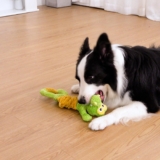 Indestructible Dog Squeaky Toys Review