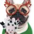 PIFFZEDO Rubber Dog Toy Review