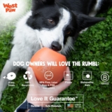 West Paw Zogoflex Rumbl Treat-Dispensing Dog Toy Review
